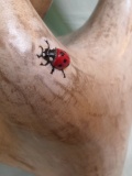 Coccinelle - Sculpture sur bois-Thierry Fleury