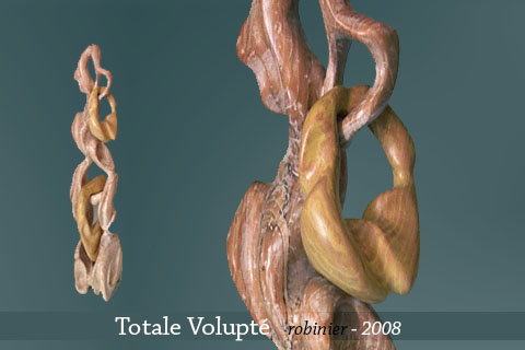 Sculpture bois - Thierry Fleury