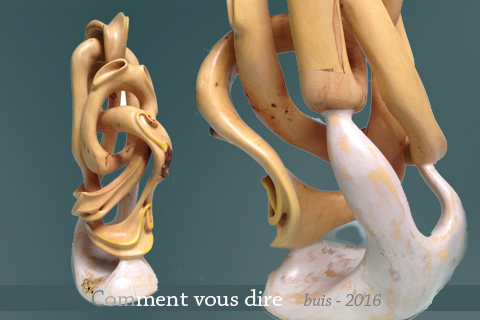 Sculpture bois - Thierry Fleury
